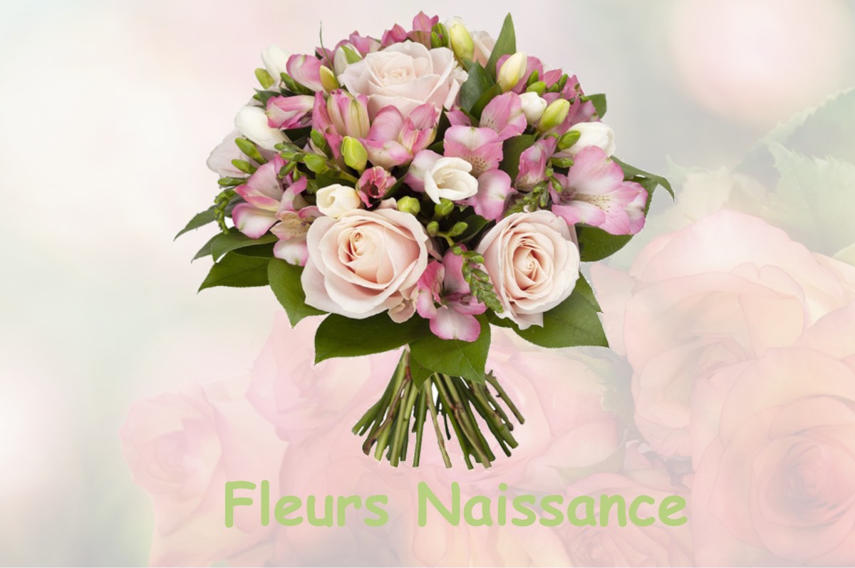 fleurs naissance VANNOZ