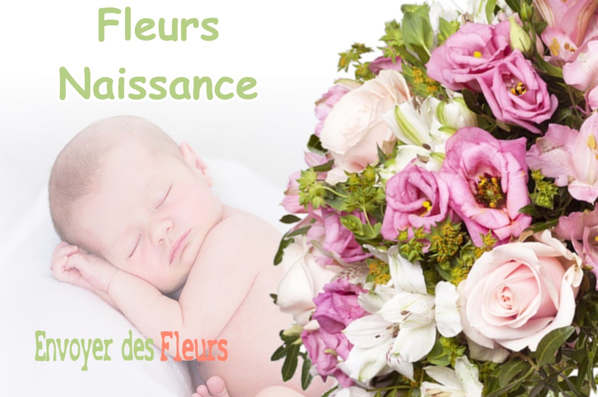 lIVRAISON FLEURS NAISSANCE à VANNOZ